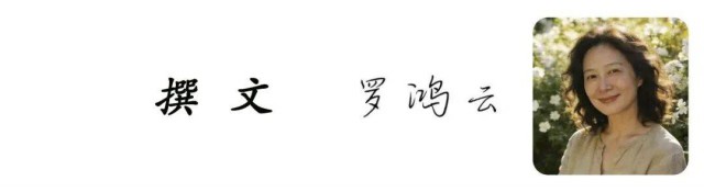 罗鸿云.jpg